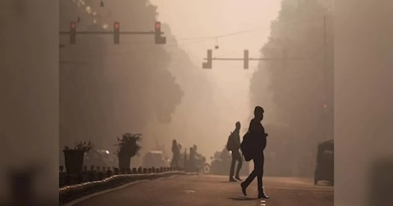 Rajasthan Weather Update: राजस्थान में छाया कोहरा, चलने लगी ठंडी हवाएं, कड़ाके वाली ठंड का अलर्ट जारी