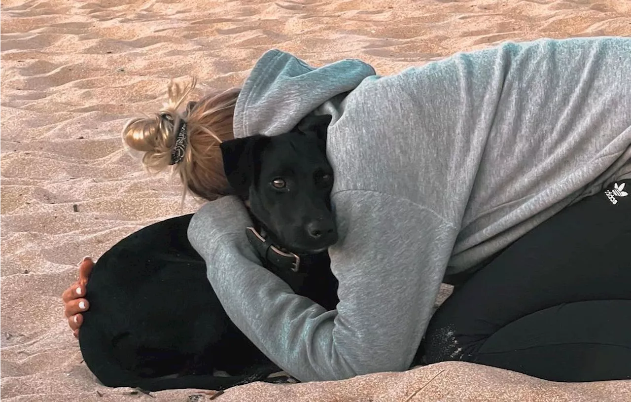 Elle cherche désespérément son chien qui a sauté d’un avion à Charles-de-Gaulle