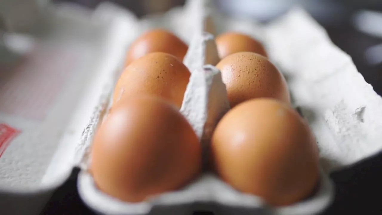 Why you may be shelling out more money on eggs: Bird flu spikes dwindle supply