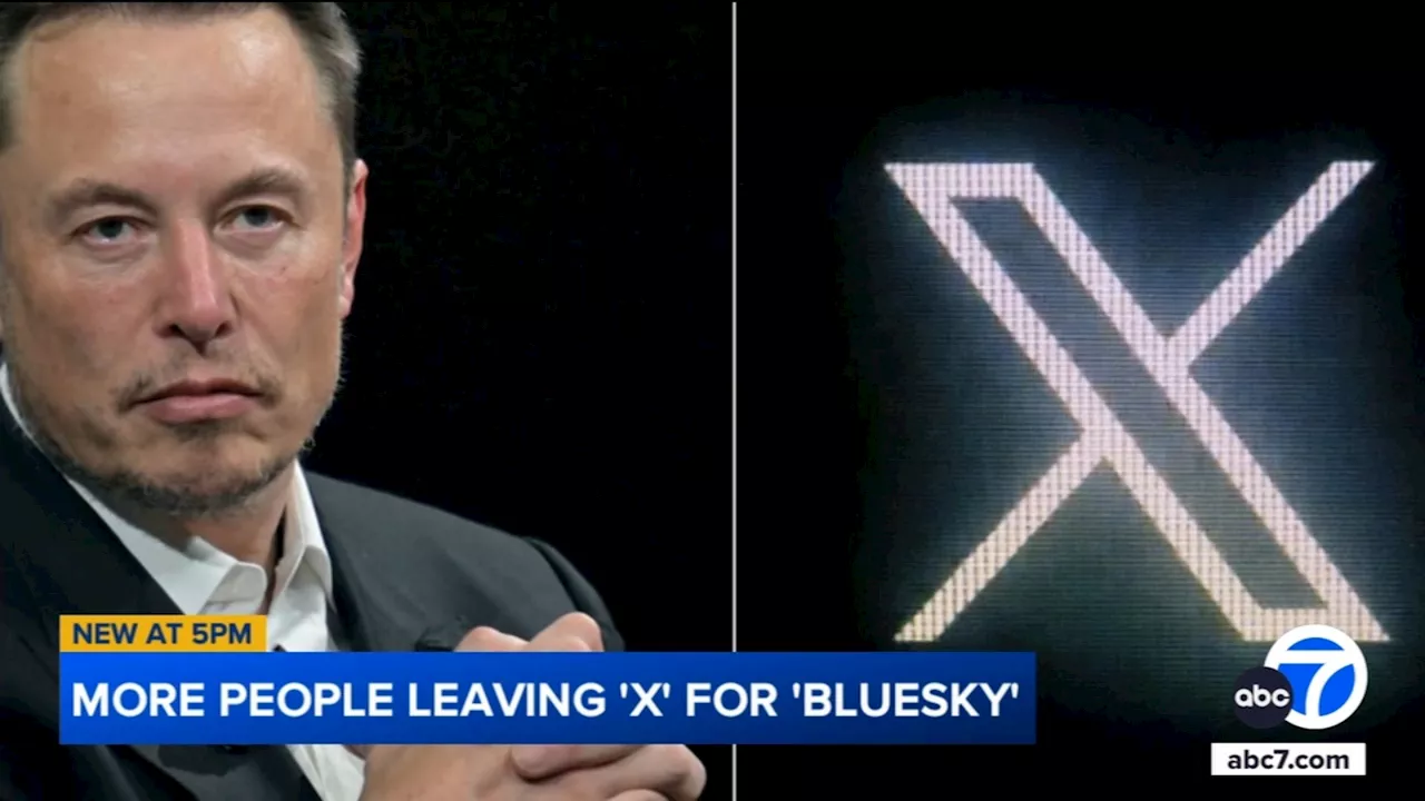 Why some social media users are leaving Elon Musk's X for rival platform Bluesky