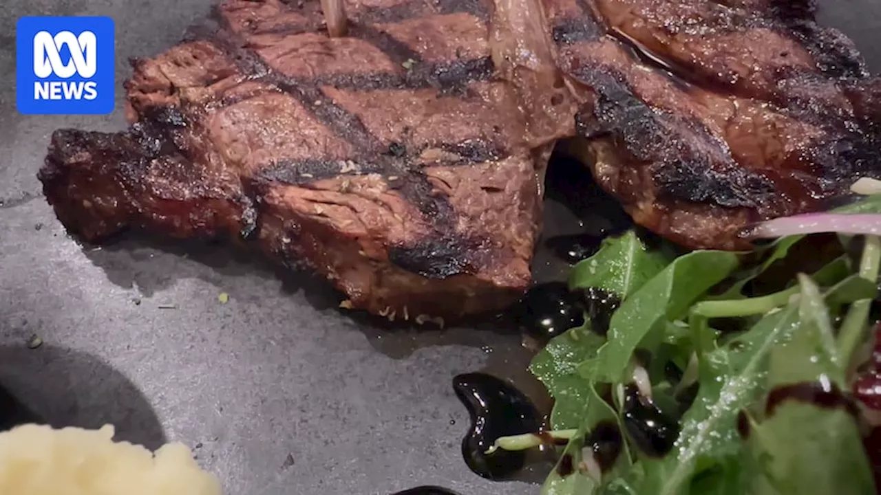 Penrith Council investigating after live maggots found on steak at restaurant