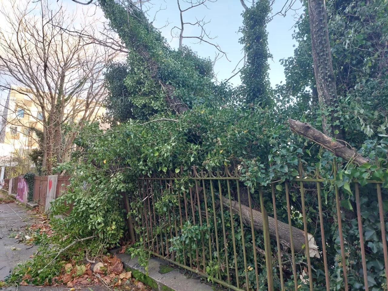 Tempête Caetano : il a fait près de sept fois plus chaud à Nantes qu'à Rennes