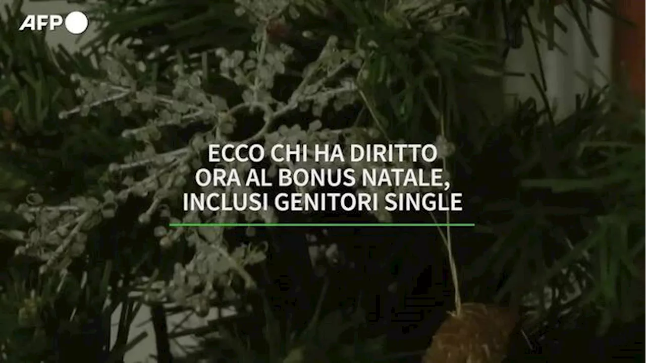 Bonus Natale, oggi termine ultimo per la domanda per i dipendenti pubblici