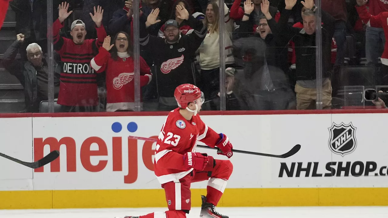 Raymond scores with 51 seconds remaining as Red Wings beat Islanders 2-1