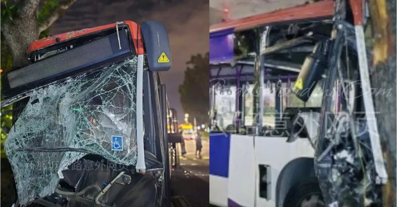 Driver killed, 5 passengers injured as bus crashes into tree in Kaki Bukit