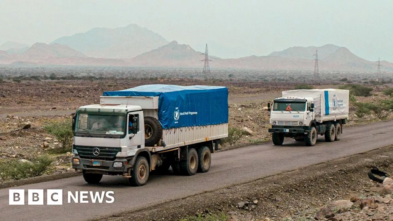 Sudan's famine-hit Zamzam camp gets first aid convoy in months