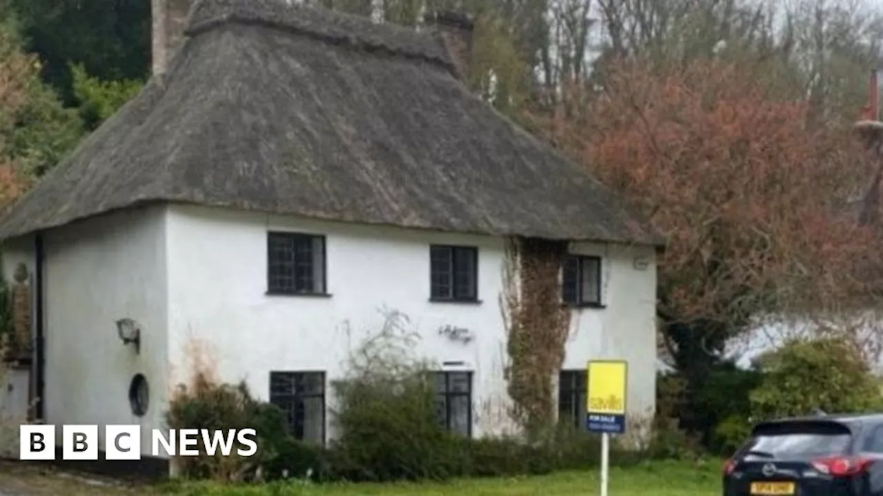 Cerne Abbas: Mummified cat found in cottage's thatched roof