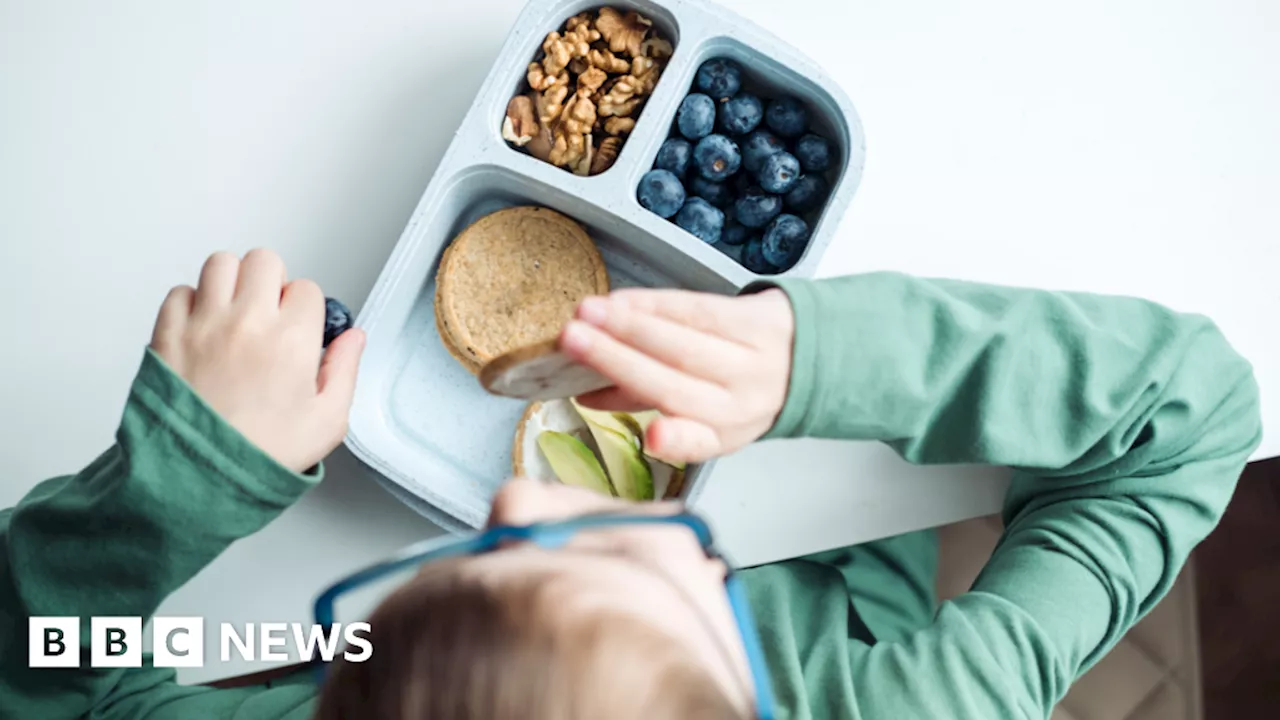 School meals: Plans for universal free school meals in NI