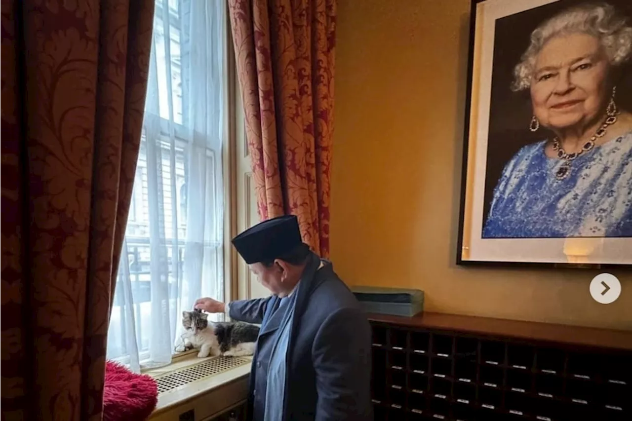 Foto Prabowo Elus Larry the Cat di Kantor PM Inggris, Warganet: Bobby Kertanegara Galau