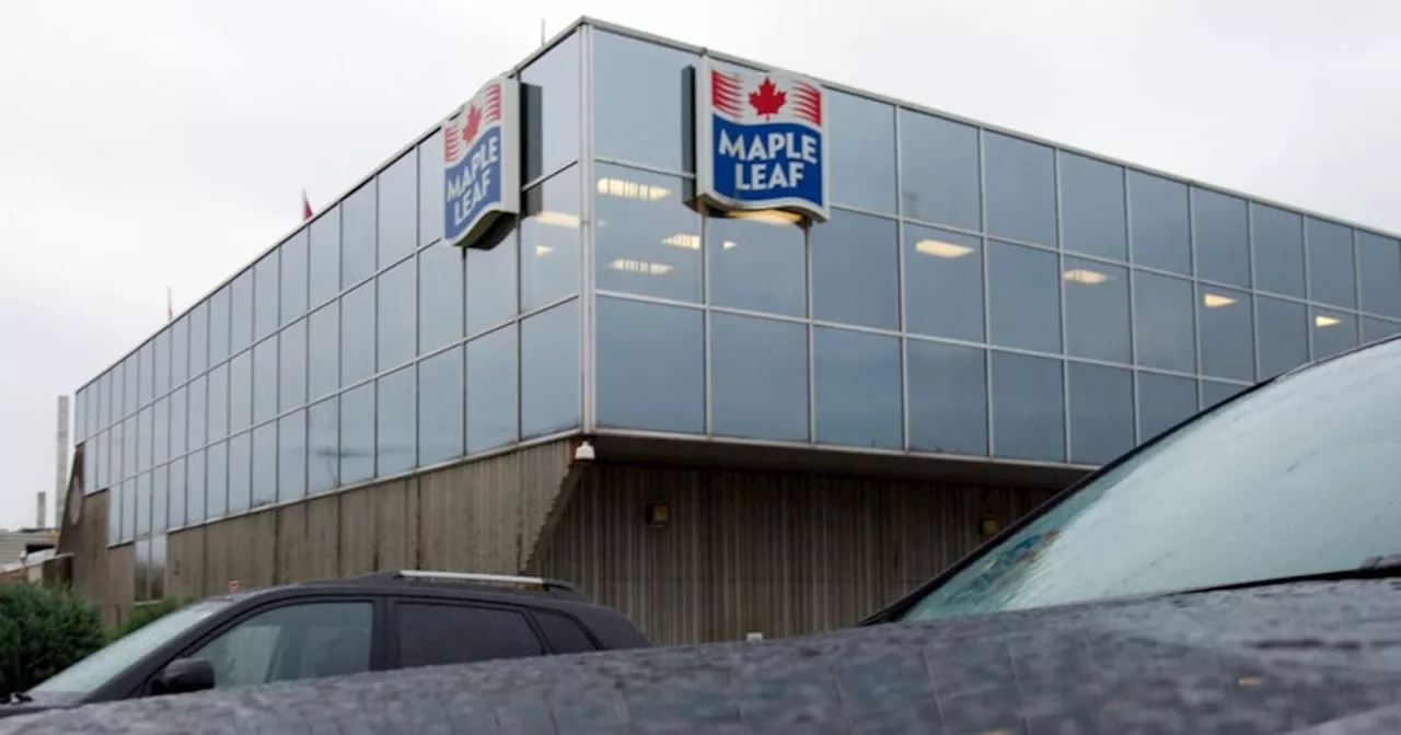 Maple Leaf Foods launches defamation lawsuit against Canada Bread and Grupo Bimbo