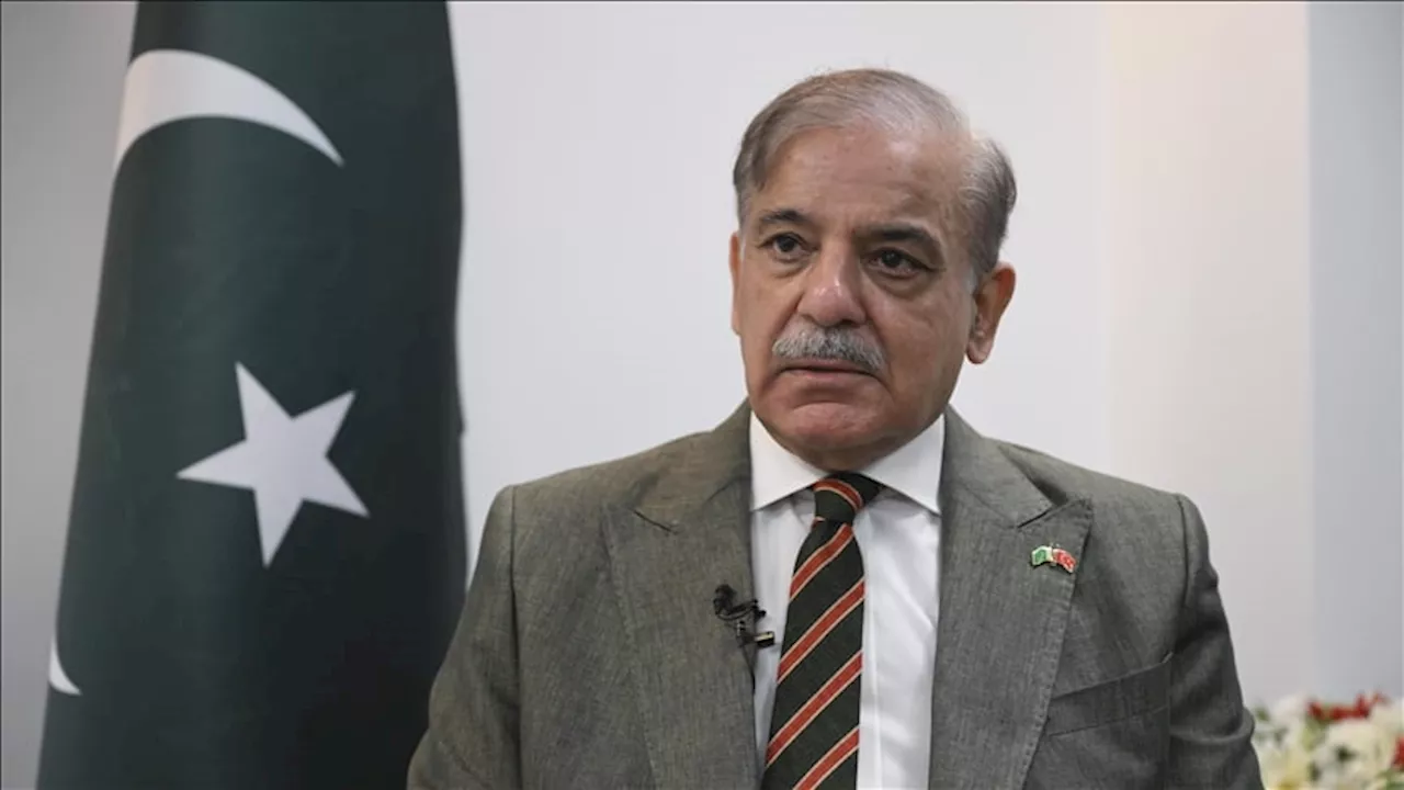 PM Shehbaz forms committee to resolve issues between PML-N & PPP