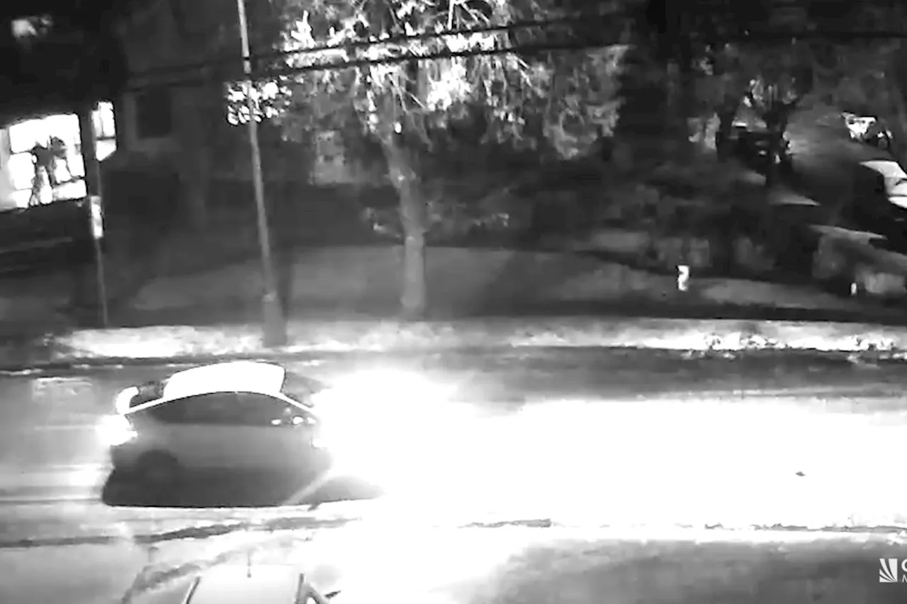 Video: Police seek Tesla driver who may have witnessed Burnaby apartment arson