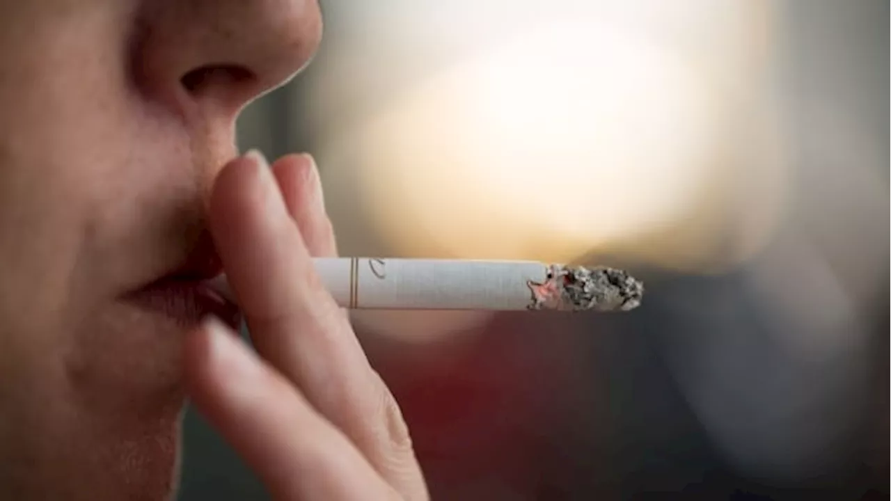 Albertans spending millions on illegal cigarettes, diverting tax revenue: report