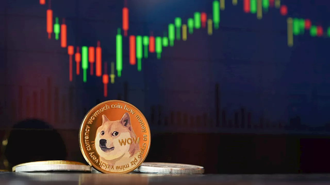 The case for altcoins and memes as bitcoin, now approaching $100,000, faces a potential correction