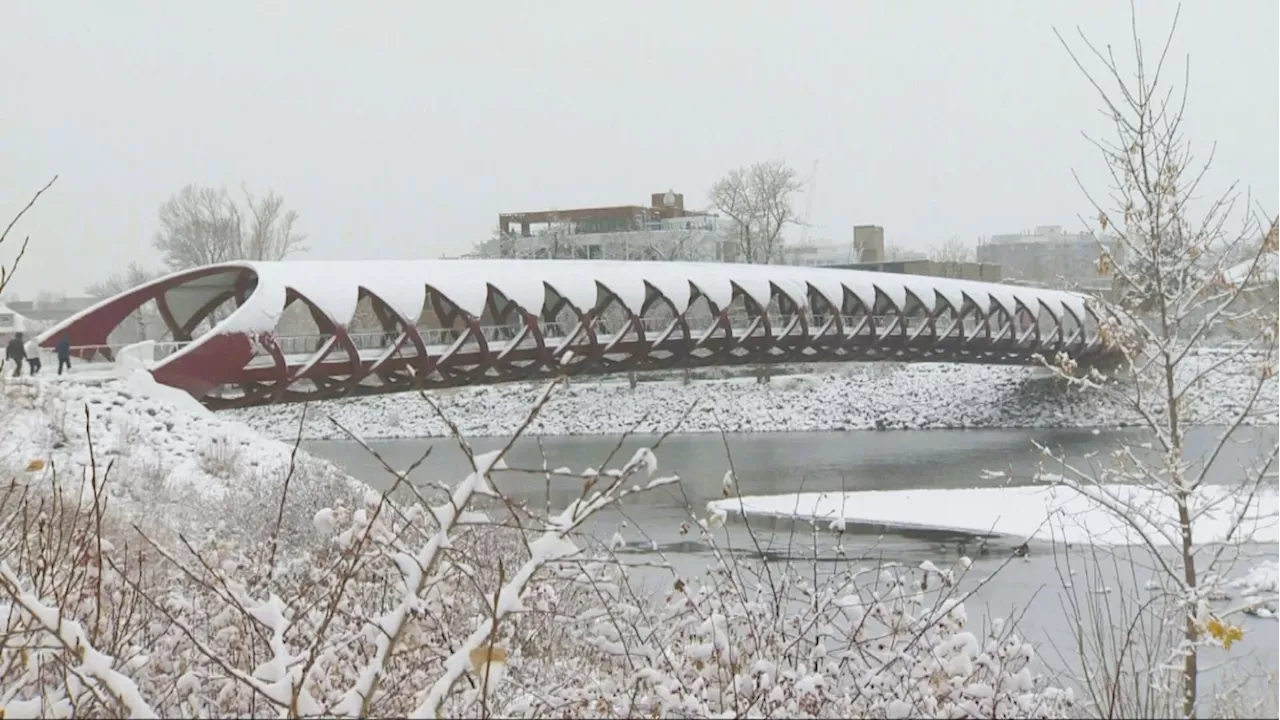 Calgary under a snowfall warning, drivers warned to be prepared