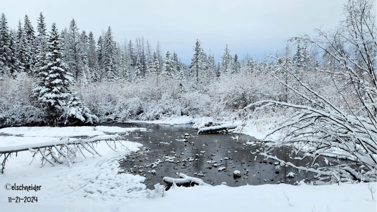 We can expect Friday and Saturday to bring more cold, and more snow, too