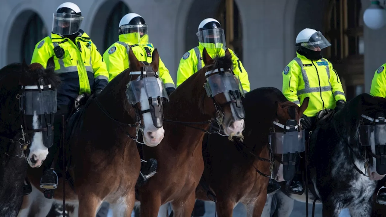 New Ottawa police mounted unit will cost $1.4 million a year