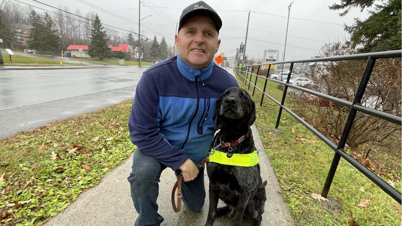 Orleans man calls for changes after service guide dog attacked by another dog