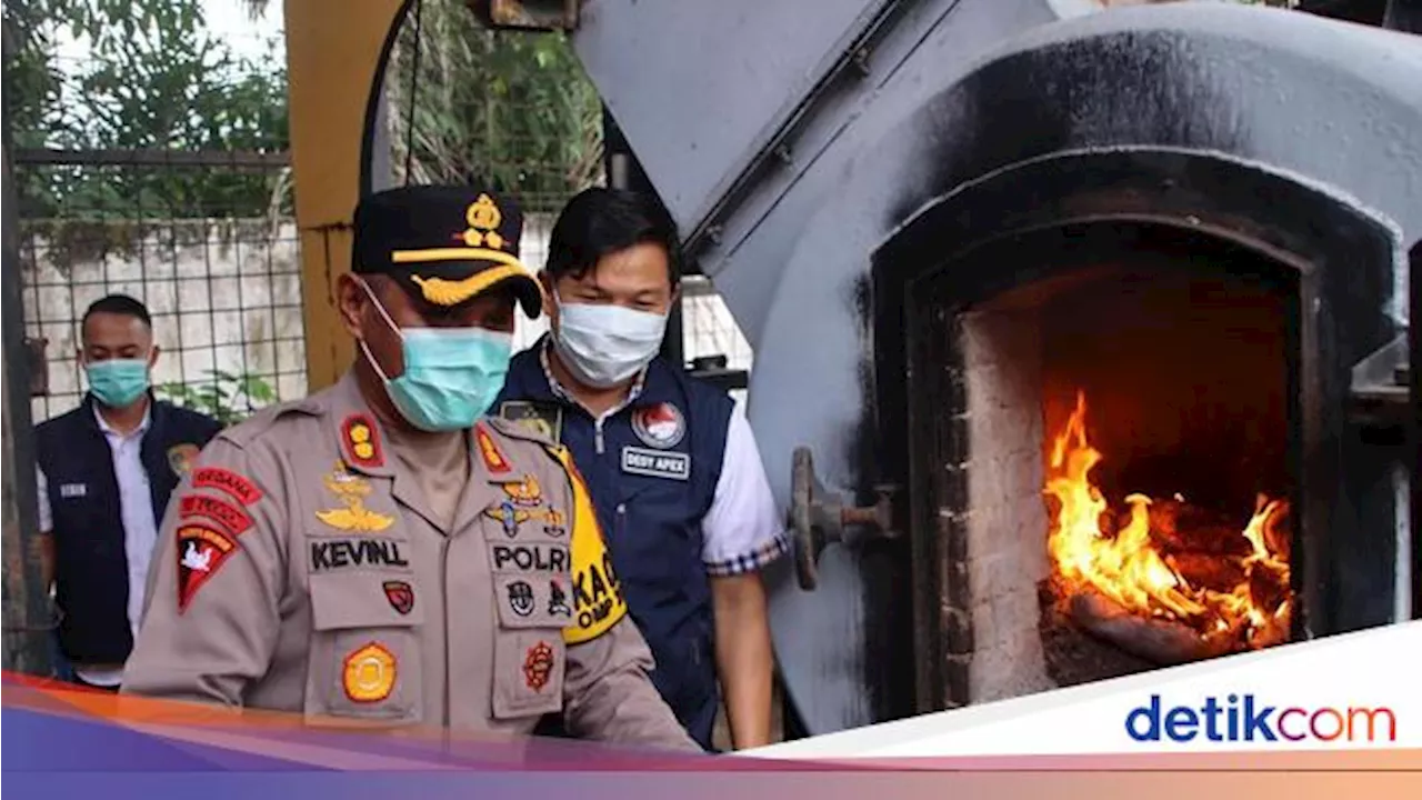 Polres OKU Timur Musnahkan 35 Kg Ganja yang Sempat Dikirim ke Jakarta