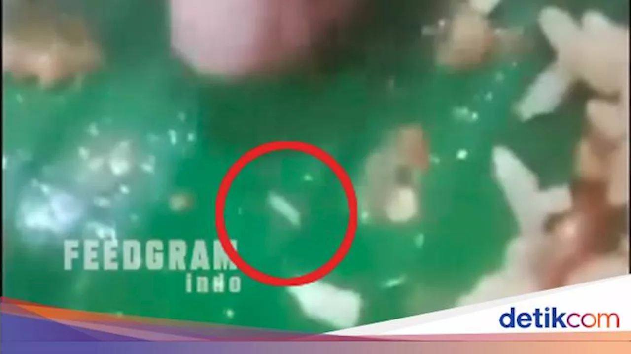 Warung di Belu Digeruduk Warga gegara Nasi Bungkus Isi Belatung