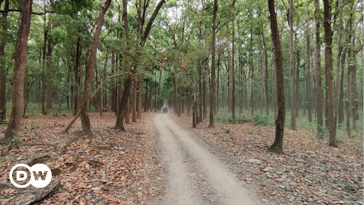 निगरानी की तकनीकों से परेशान की जा रही हैं महिलाएं