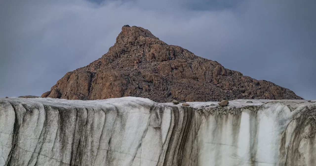 Forscher entdecken im Permafrost perfekt erhaltenes Tier, das vor 12.000 Jahren ausgestorben ist