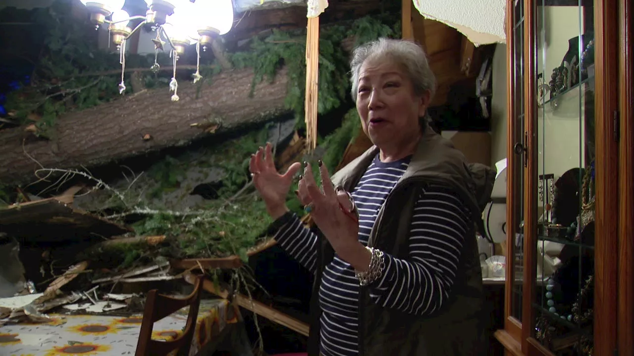 Bellevue woman injured by falling tree, roof collapse speaks on close call