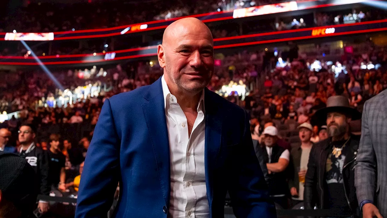 UFC President Dana White done with politics for good after Trump victory: ‘It’s disgusting’