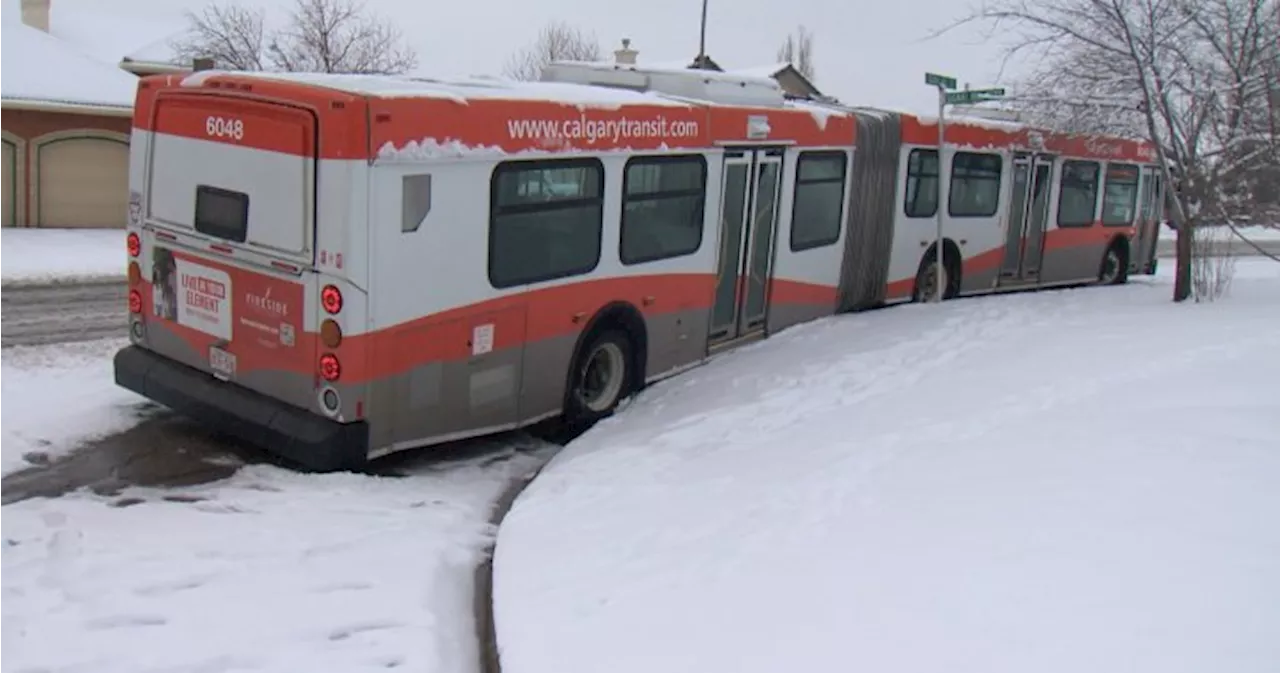 ‘A long period of snowfall’ in the forecast for Alberta: Environment Canada