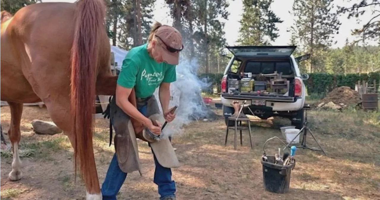 Tools with sentimental value allegedly stolen from Okanagan farrier