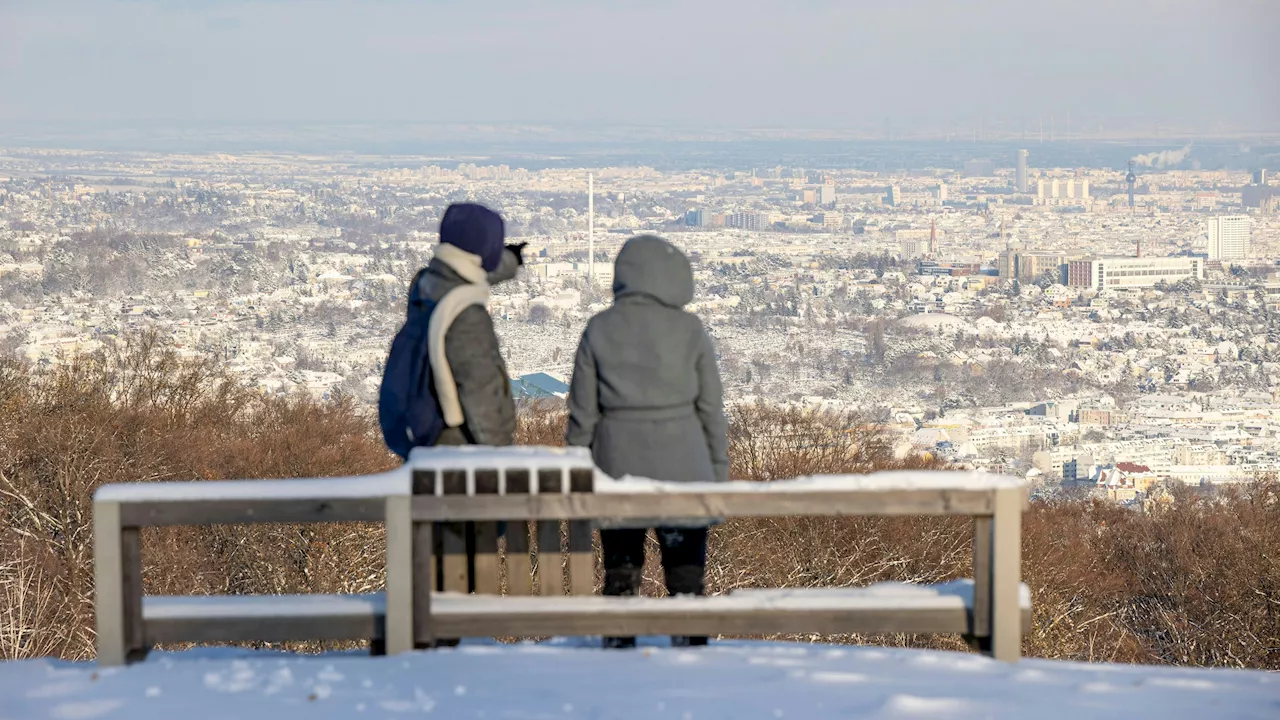 Winter-Chaos in Österreich - Polar-Peitsche treibt jetzt Schneefall bis nach Wien