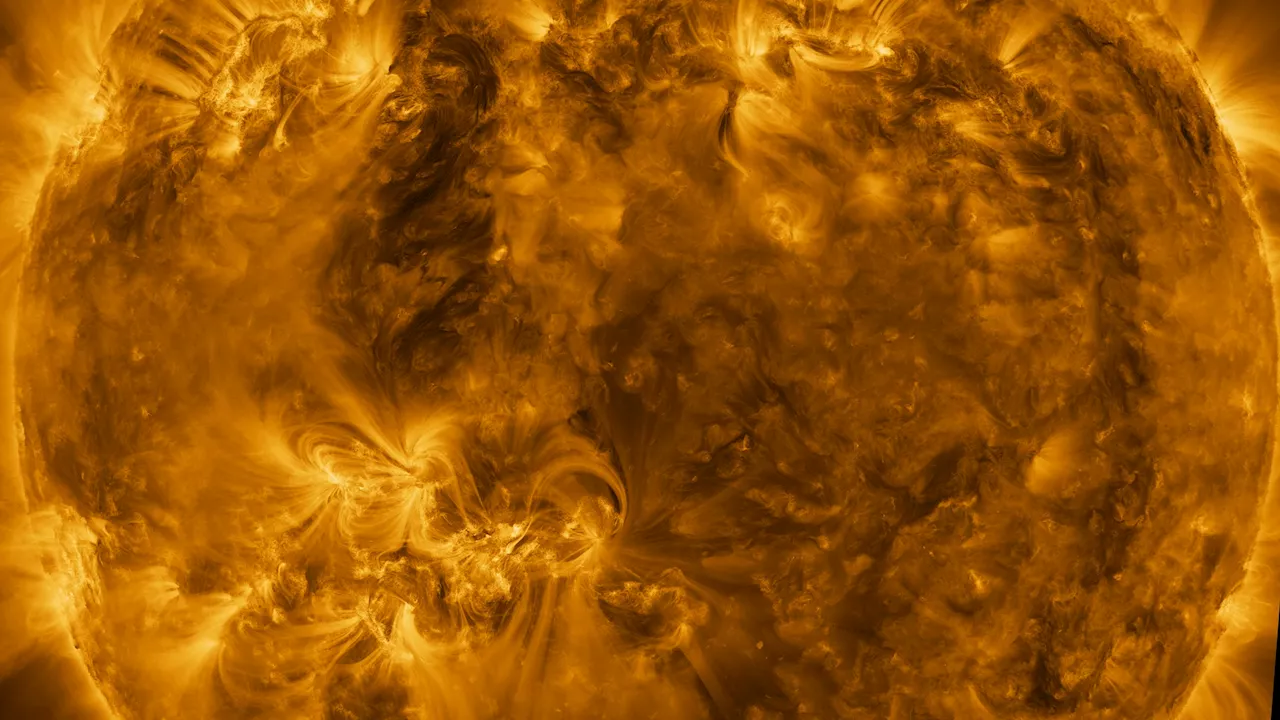 You can stare directly at these new images of the Sun