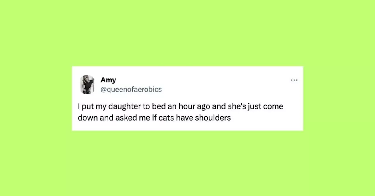 22 Of The Funniest Tweets About Cats And Dogs This Week (Nov. 16-22)