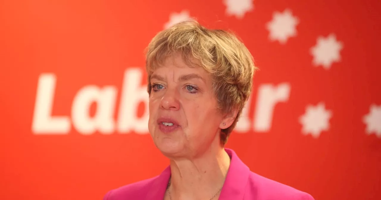 Bacik dismisses ‘glitterball budget’ as she promises Labour will protect household incomes