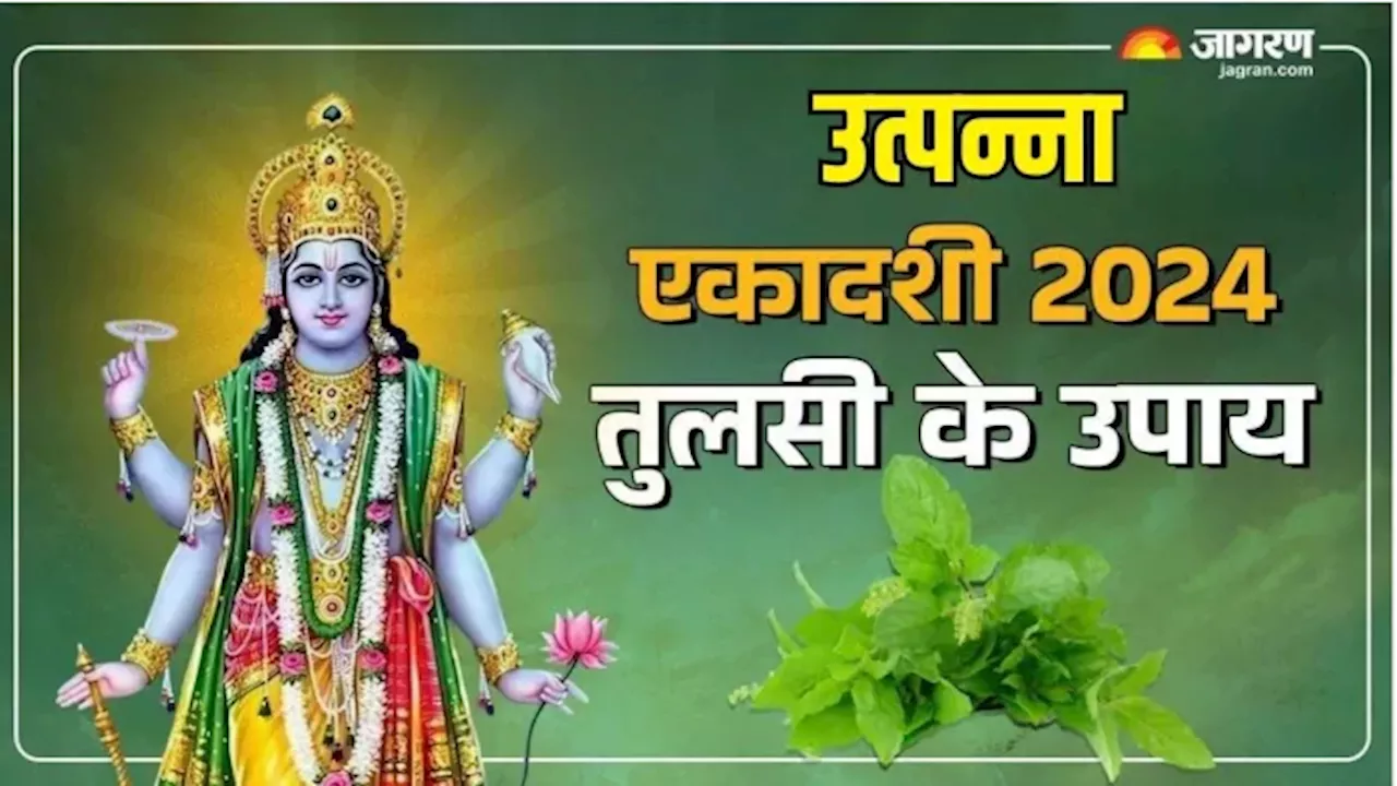 Utpanna Ekadashi 2024: उत्पन्ना एकादशी पर तुलसी की मंजरी से करें ये उपाय, धन से भर जाएगी खाली तिजोरी