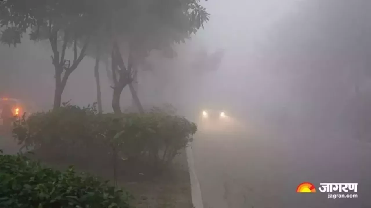 Weather Update: देहरादून में पाला और कोहरा गिरने का मौसम विभाग ने जारी किया येलो अलर्ट, देखें आज का वेदर