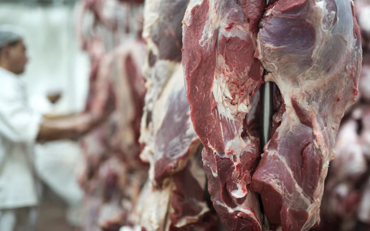 Após Carrefour, mais um grupo varejista francês endossa boicote à carne sul-americana