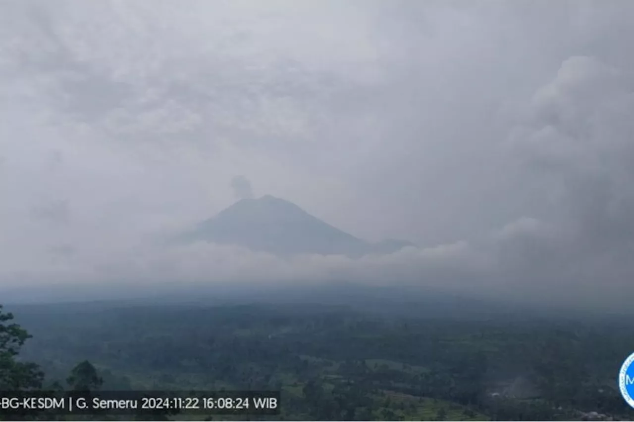 Gunung Semeru Erupsi Lagi, Tinggi Letusan 600 Meter