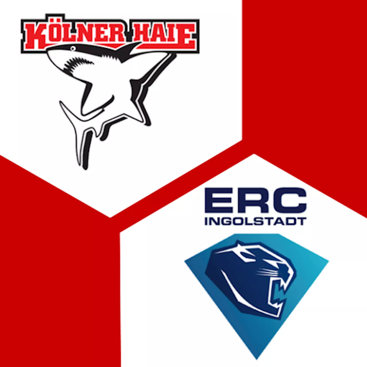 ERC Ingolstadt 0:1 | 18. Spieltag | Deutsche Eishockey-Liga 2024/25