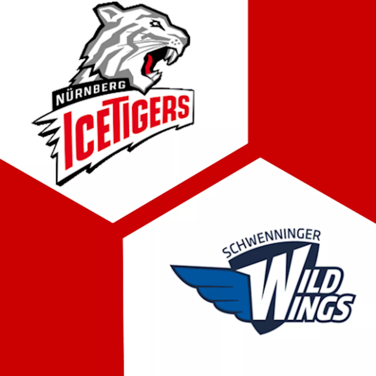  Schw. Wild Wings 3:7 | 18. Spieltag | Deutsche Eishockey-Liga 2024/25