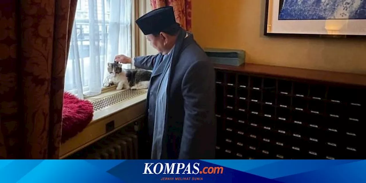 Prabowo Subianto Bertemu Larry The Cat, Kucing di Kantor PM Inggris