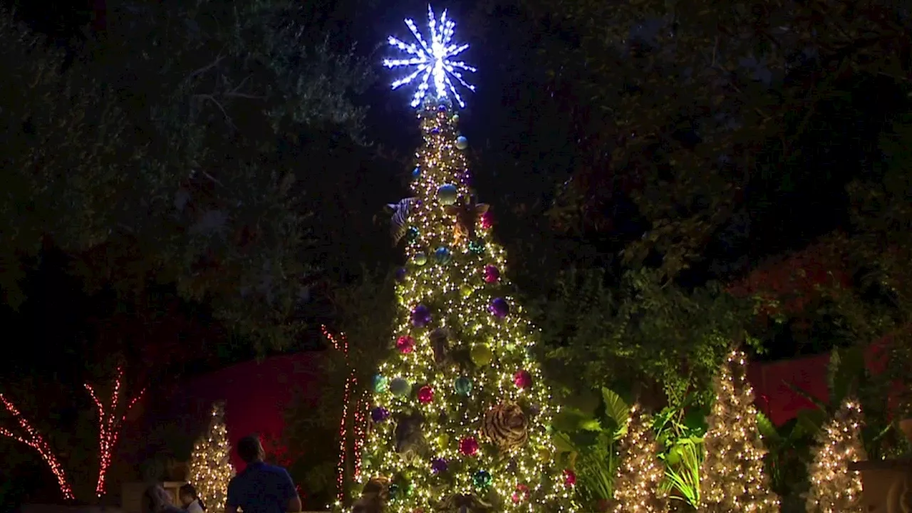 Houston Zoo Lights offers sensory-friendly options