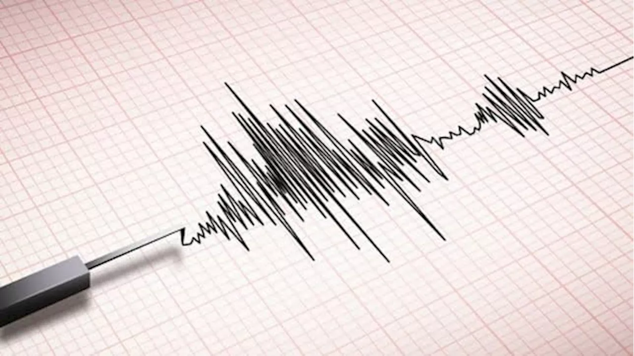 Temblor en México este 21 de noviembre: epicentro, hora y cuál fue la intensidad