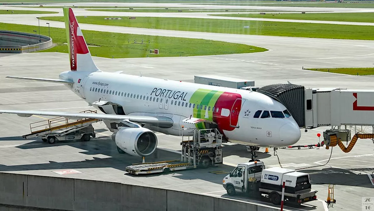 132 hamsters s’échappent de leur cage dans un Airbus A320 : les rongeurs sèment le chaos et l’appareil reste 5