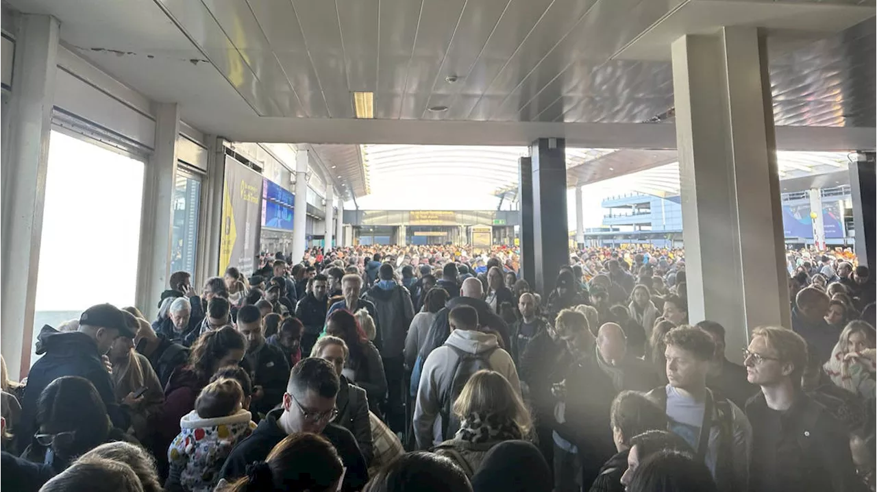 Gatwick Airport South Terminal evacuated after 'suspicious bag found near train station' as bomb squad...