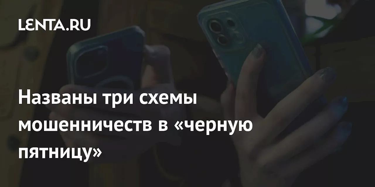 Названы три схемы мошенничеств в «черную пятницу»