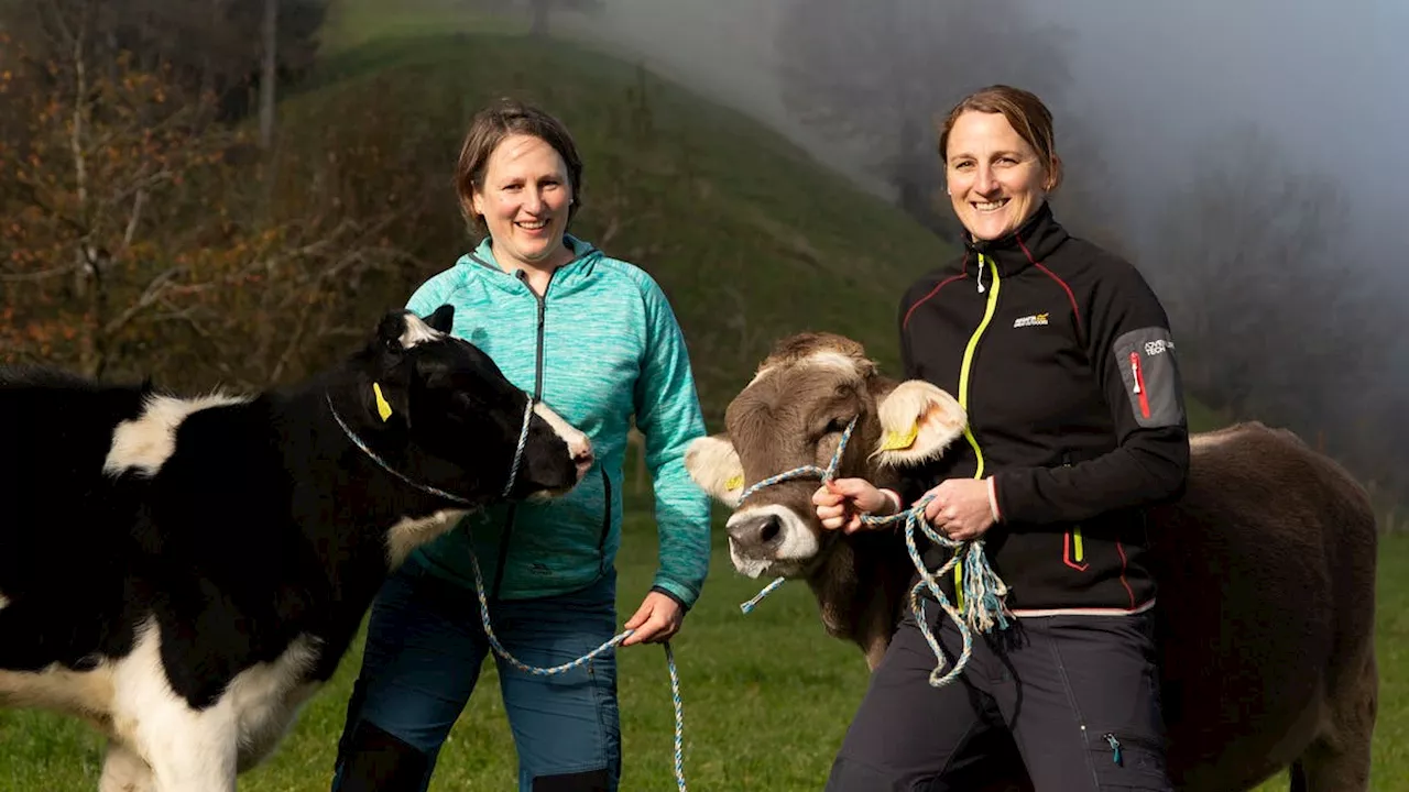 Gras-Silo als Übernachtungsmöglichkeit gewinnt Agrotourismus-Award 2024