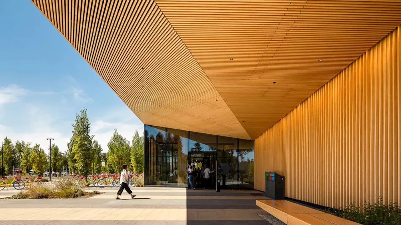 Inside Google’s first mass timber building in Sunnyvale: Redefining sustainable design