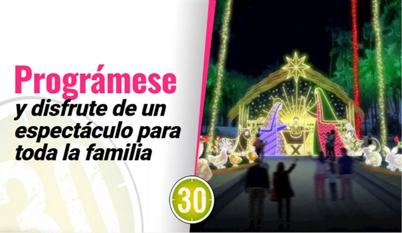 ‘Alumbrado Navideño 2024’ abarcará más zonas de Cali y costará menos que el año pasado