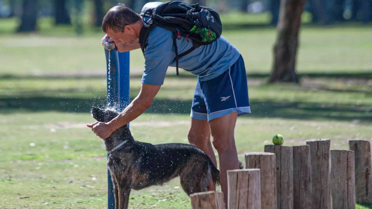 Clima en Buenos Aires: el pronóstico del tiempo para el viernes 22 de noviembre